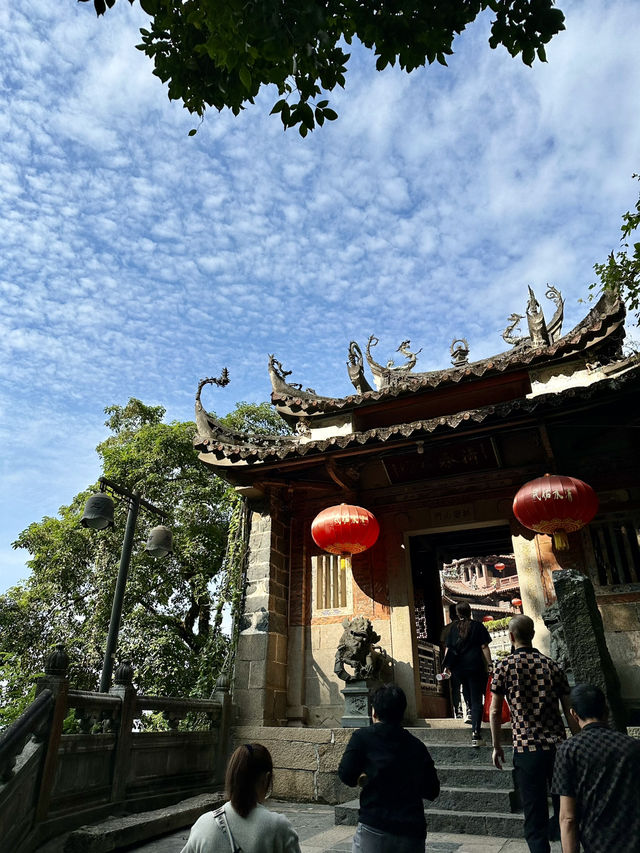 The Living Mountain: A Pilgrimage Through Qingshuiyan's Ecological Sanctuary