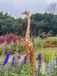 台北大森林公園｜城市裡的秘密花園