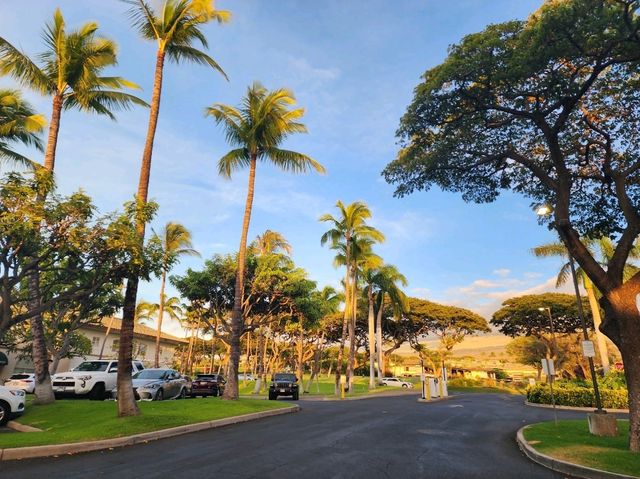 [🇺🇸マウイ島] 高級感とリゾート感が融合する、The Shops at Waileaでのショッピングタイム
