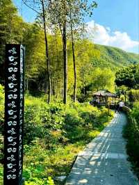 Lu Lake Bamboo Sea: A Hidden Retreat in Nature’s Embrace
