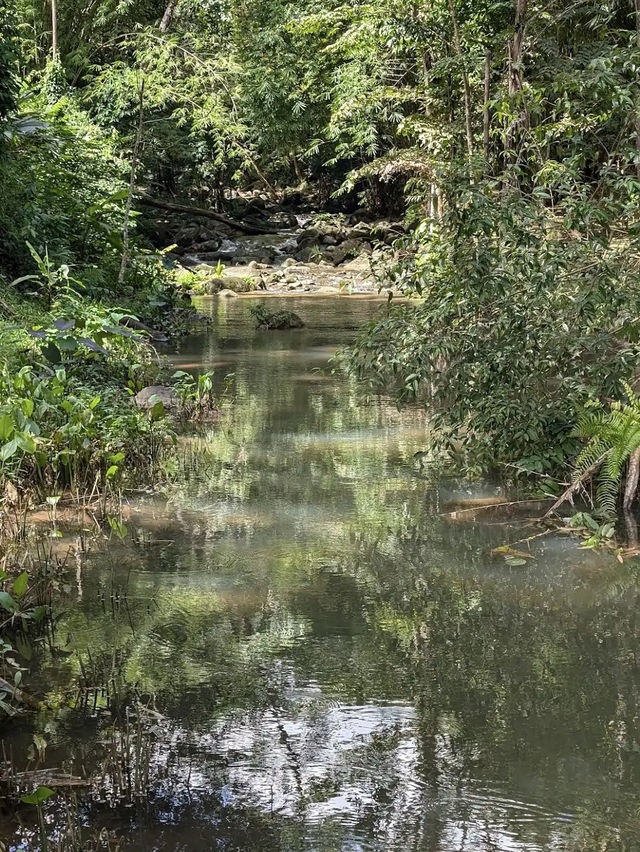 Nature's Tranquility at Bang Pae Waterfall, Phuket