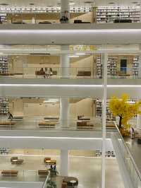 深圳｜深圳圖書館📚北館 