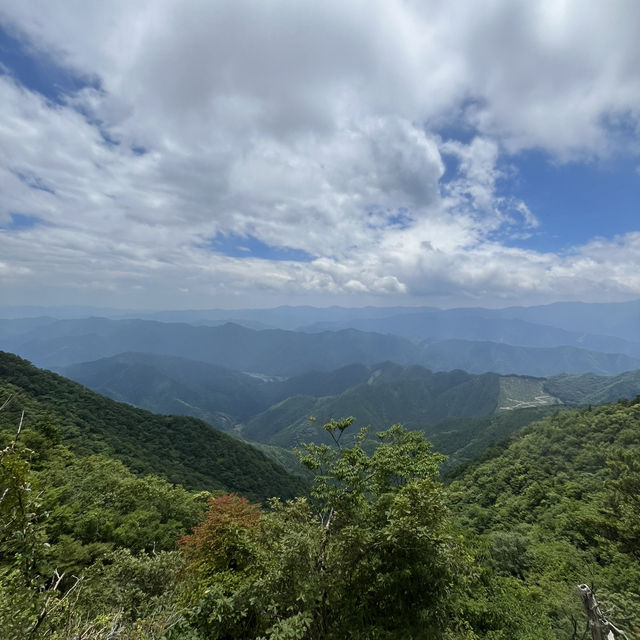 🌰【栗の木岳】 まつさかイレブン