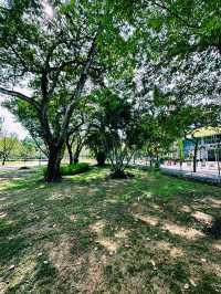 Breathe in Nature at Taman Tasik Titiwangsa