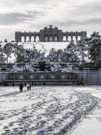 From Klimt to Christmas Lights: Vienna’s Winter Charm in 72 Hours
