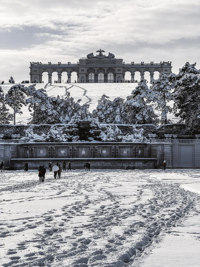 From Klimt to Christmas Lights: Vienna’s Winter Charm in 72 Hours