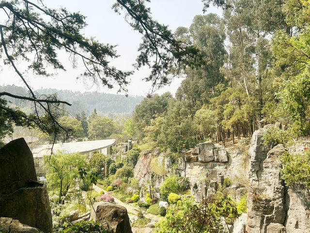 [中国・昆明] 充実した旅を！昆明世界園芸博覧園🇨🇳