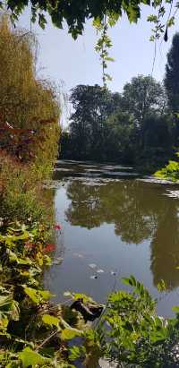🎨 Fondation Monet in Giverny – 모네의 정원, 꿈같은 아침