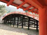 【広島⛩️宮島】海に佇む鳥居🌅美しい世界遺産✨