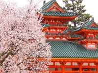 🌸 Kyoto’s Hidden Oasis: A Magical Day at Heian Shrine (& Why It’s Not Just a Tourist Spot!) 🏯✨