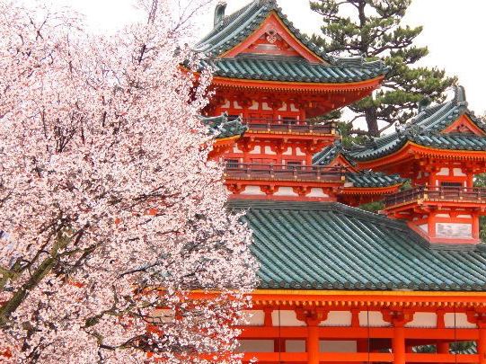 🌸 Kyoto’s Hidden Oasis: A Magical Day at Heian Shrine (& Why It’s Not Just a Tourist Spot!) 🏯✨