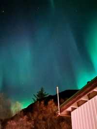 Waterfalls, Black Beaches & Northern Lights Dreams: Iceland Day 3! 🌊🌌✨