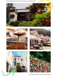 A Slice of the Mediterranean in Bloom: Strolling the Colorful Charm of Meta Provence