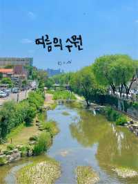 느좋 수원 나들이 한번 가실래용? ☘️🍀