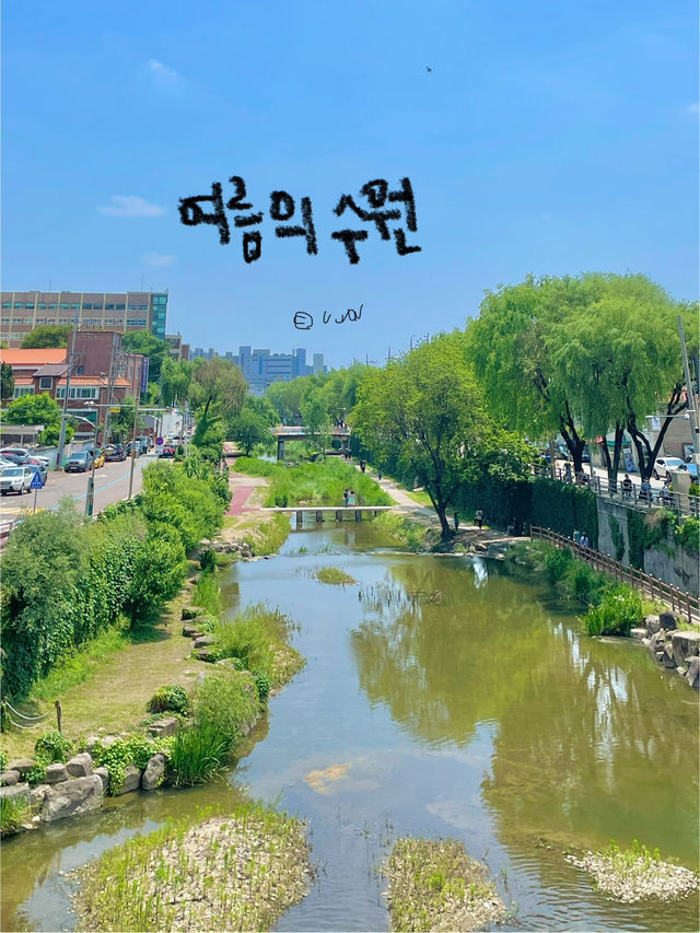 느좋 수원 나들이 한번 가실래용? ☘️🍀