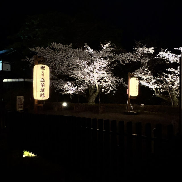 走吧！赴一場粉色之約🌸