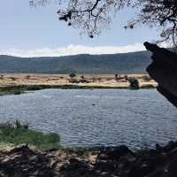 在野生動物中啜飲咖啡-Ngoitokitok Picnic Area