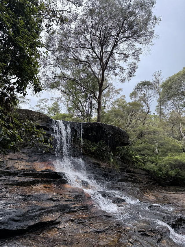 澳洲悉尼景點介紹-藍山國家公園