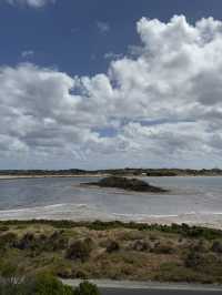 澳洲珀斯必去一日遊景點-羅特尼斯島（Rottnest Island）