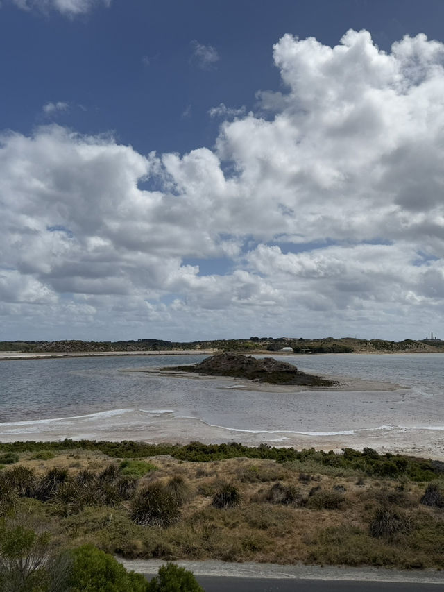 澳洲珀斯必去一日遊景點-羅特尼斯島（Rottnest Island）
