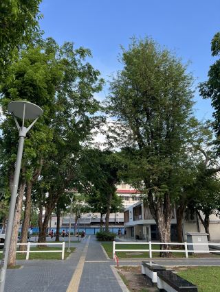 Suan Khuang Lakon, Lampang