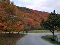 Arrowtown - the golden township in NZ South Island