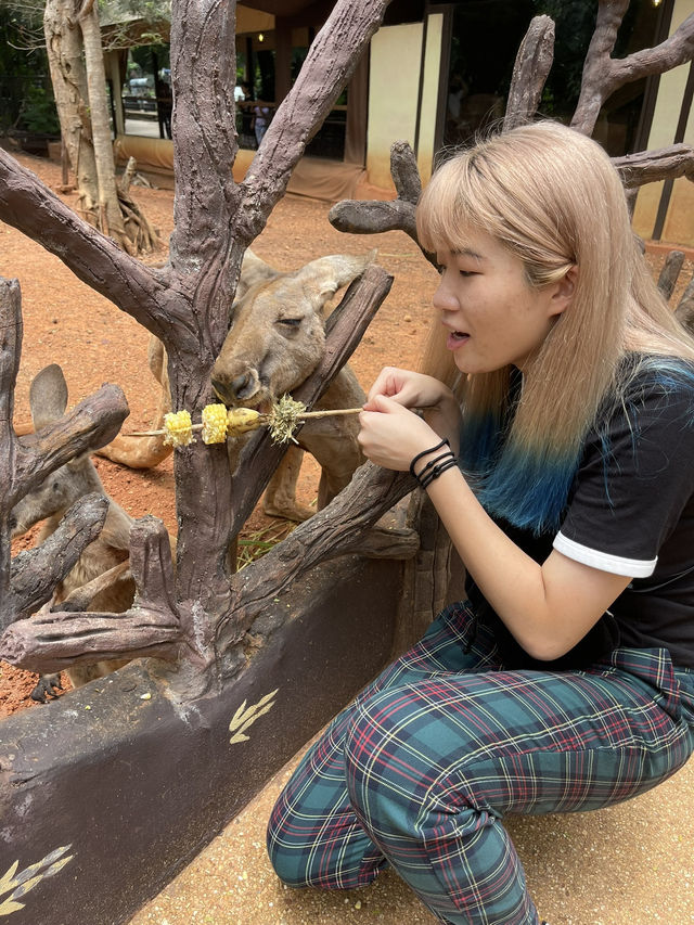 好玩程度破表！曼谷 Safari World 是我心中 No.1 的動物園