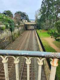Sydney Gardens