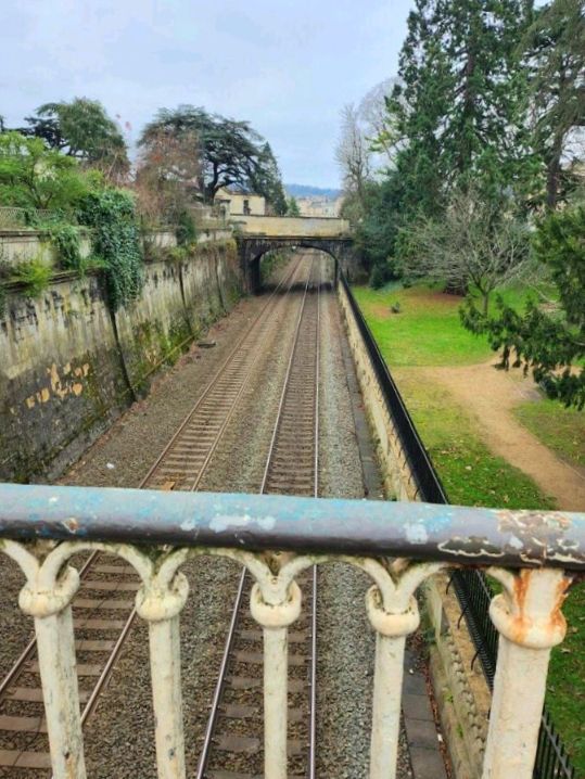 Sydney Gardens