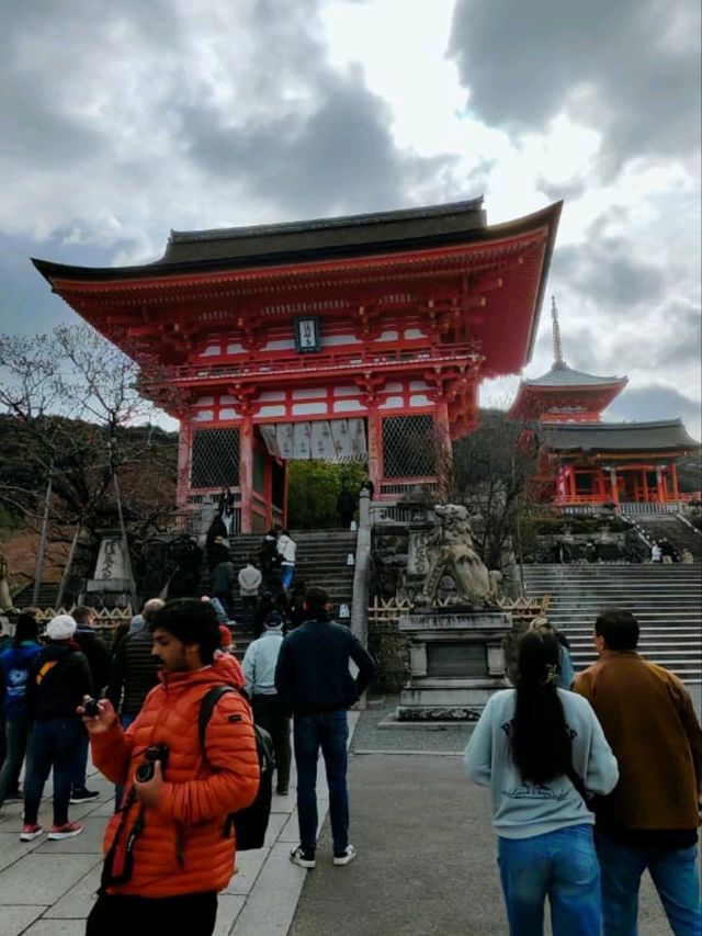 #古都的樱花之韵 #日本京都