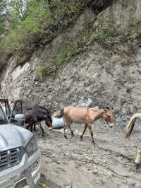 Epic Road to Annapurna