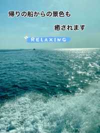 篠島で自然と海を満喫！