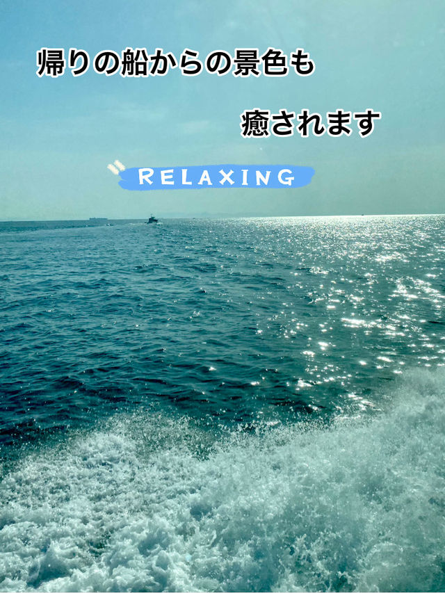 篠島で自然と海を満喫！