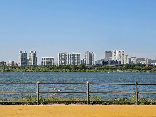 🇰🇷 서울 여행 로망 한강 라면