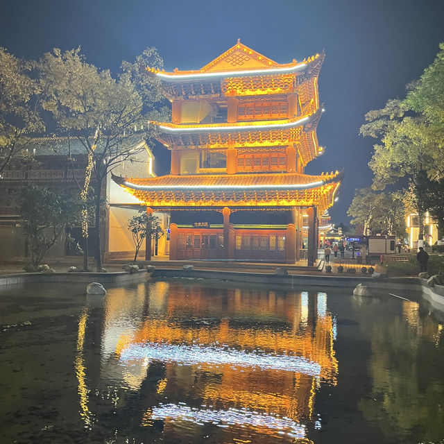 Côn Minh tháng 12, ngắm đàn chim hải âu