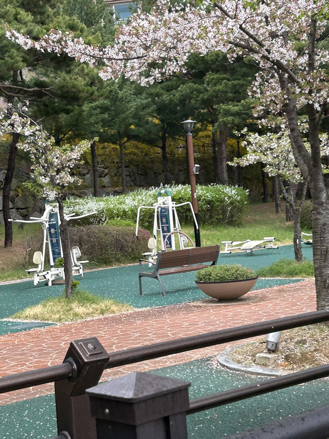 🚶‍♀️🚶 잔잔한 물결 따라 걷는 여유, 청주 오송호수공원 산책 데이트 추천해요🍀🫶🏻