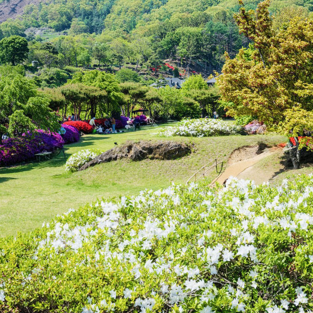 Divine Garden (Daecheongho Aquatic Plant Learning Center)