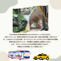 🚌マカオ観光はバスでラクラク移動！乗り方完全ガイド🇲🇴