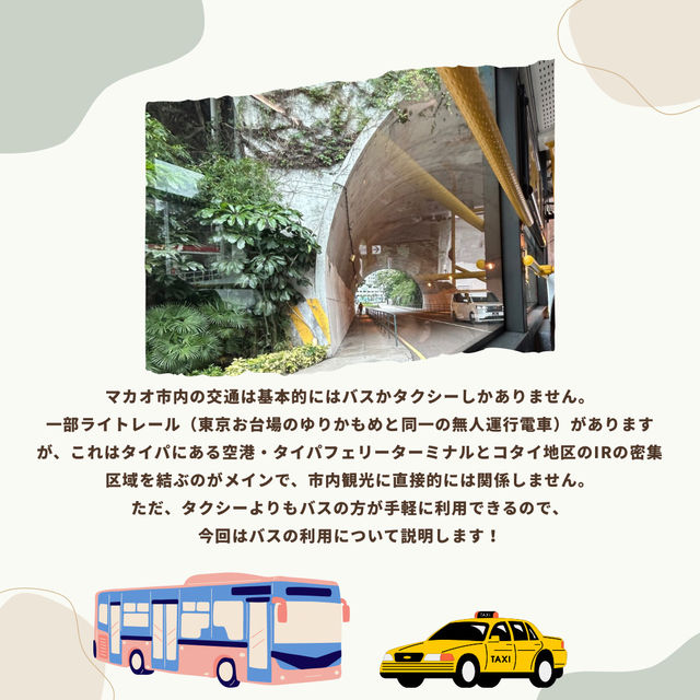 🚌マカオ観光はバスでラクラク移動！乗り方完全ガイド🇲🇴