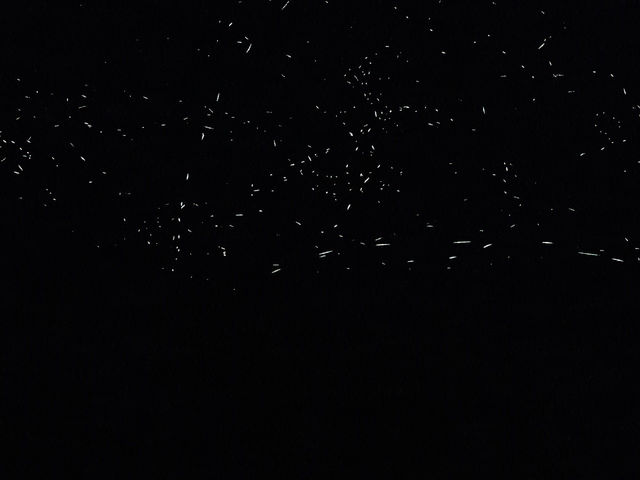 日踏桐花毯，夜數螢火星的西湖渡假村