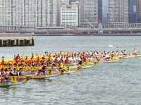🛶**香港龍舟節：熱血與歡樂的盛宴**🛶
