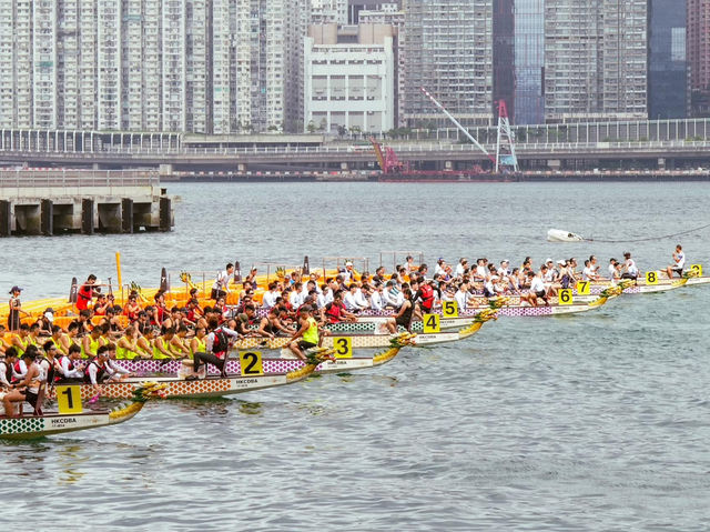 🛶**香港龍舟節：熱血與歡樂的盛宴**🛶