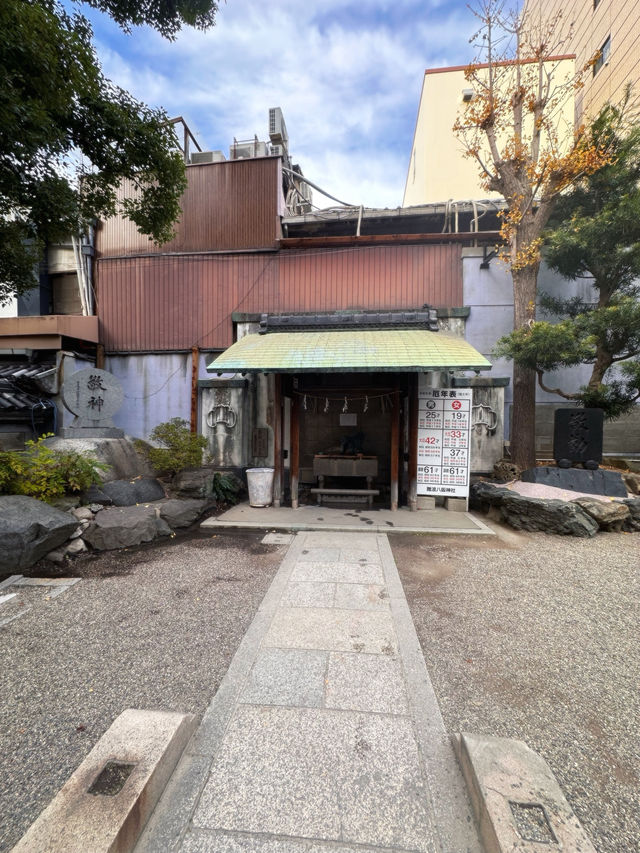 A Must-See in Osaka: The Striking Beauty of Namba Yasaka Shrine