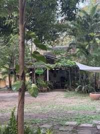 Slope Motion จ.เชียงใหม่ 🏡🍃☕️🐈
