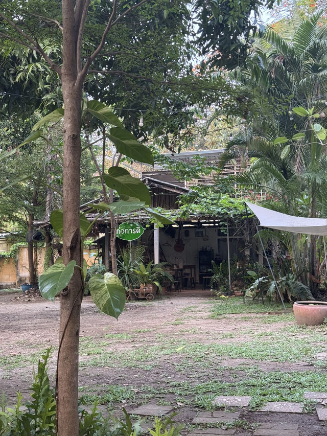 Slope Motion จ.เชียงใหม่ 🏡🍃☕️🐈