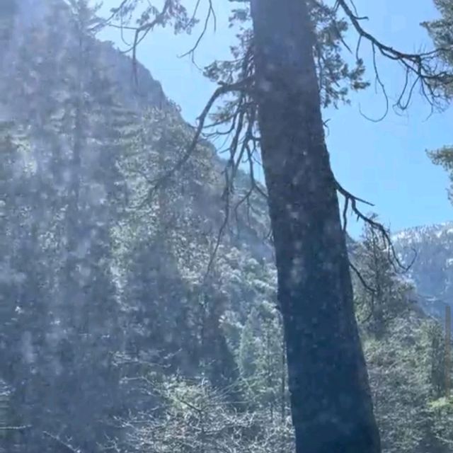 Kings Canyon National Park – CA