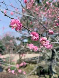 Time-Traveler’s Haven: Kanazawa’s Quiet Elegance