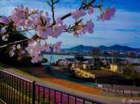 Inuyama – Where Castles Touch the Clouds and Culture Runs Deep