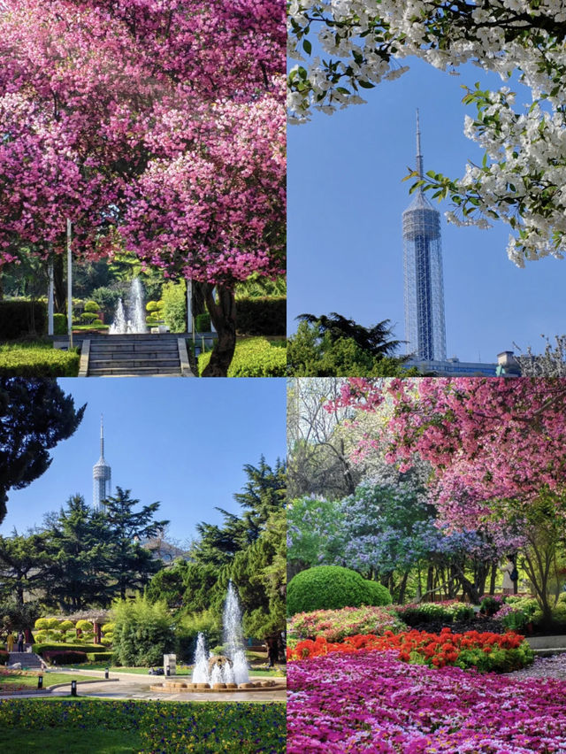 🎨 Dalian Labor Park – Spring Blossoms Like a Monet Painting
