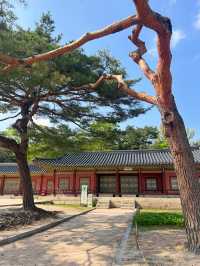 창경궁, 조선의 시간